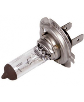 Halogeno H7 12v 55w