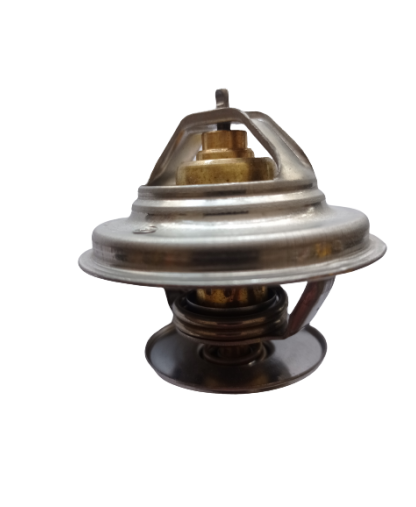 Ford E-350/F-250/F-350-94-95-7.3L/Super Duty 8CYL-Termostato Motorcraft Original