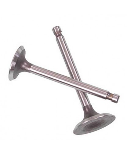 Válvulas de admisión Ford motor 302 +3